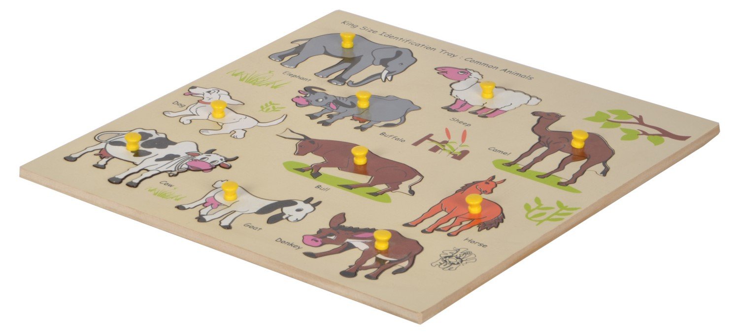 King Size Identification Tray - Common Animals - Skillofun