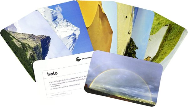 Still Nature - Flash Cards - Hungry Brain - Image 2