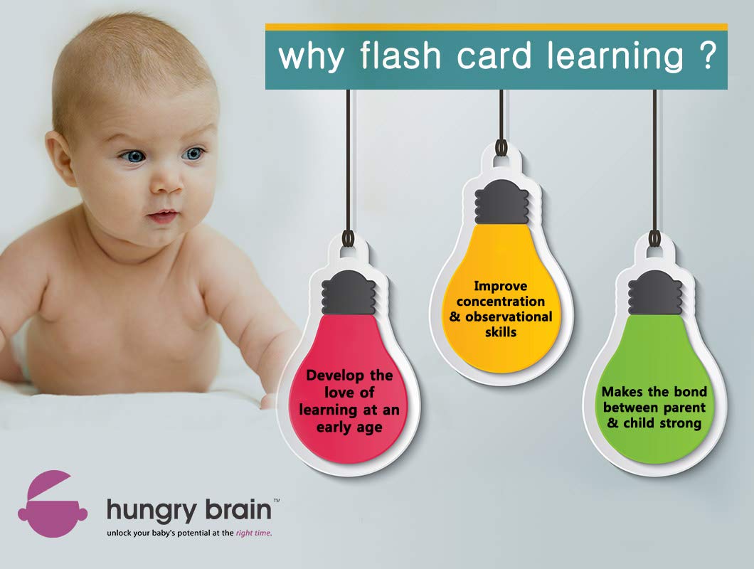 flash-cards - Hungry Brain