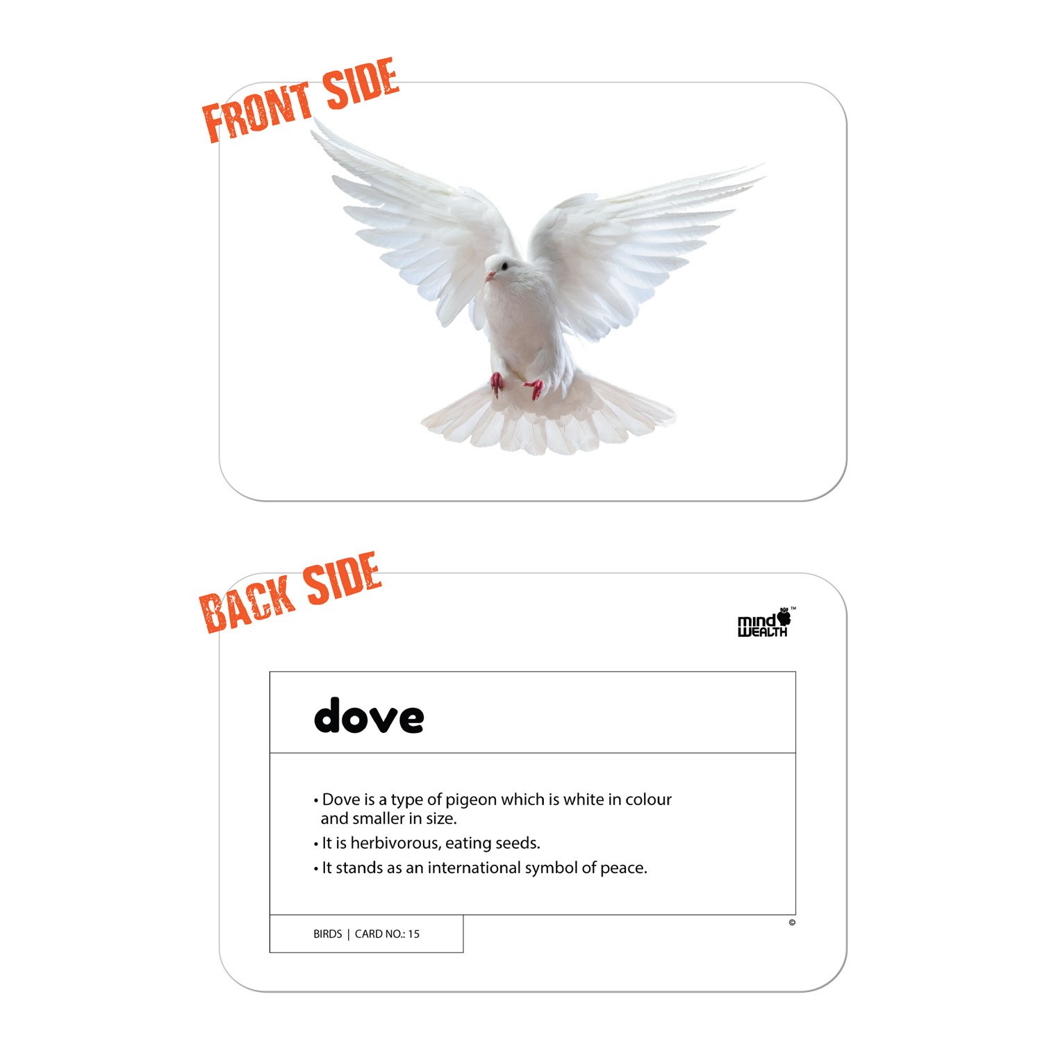 birds flashcards - Hungry Brain