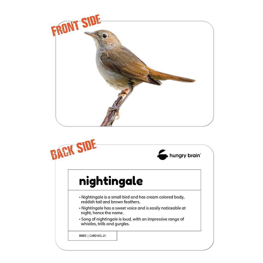 birds flashcards - Hungry Brain
