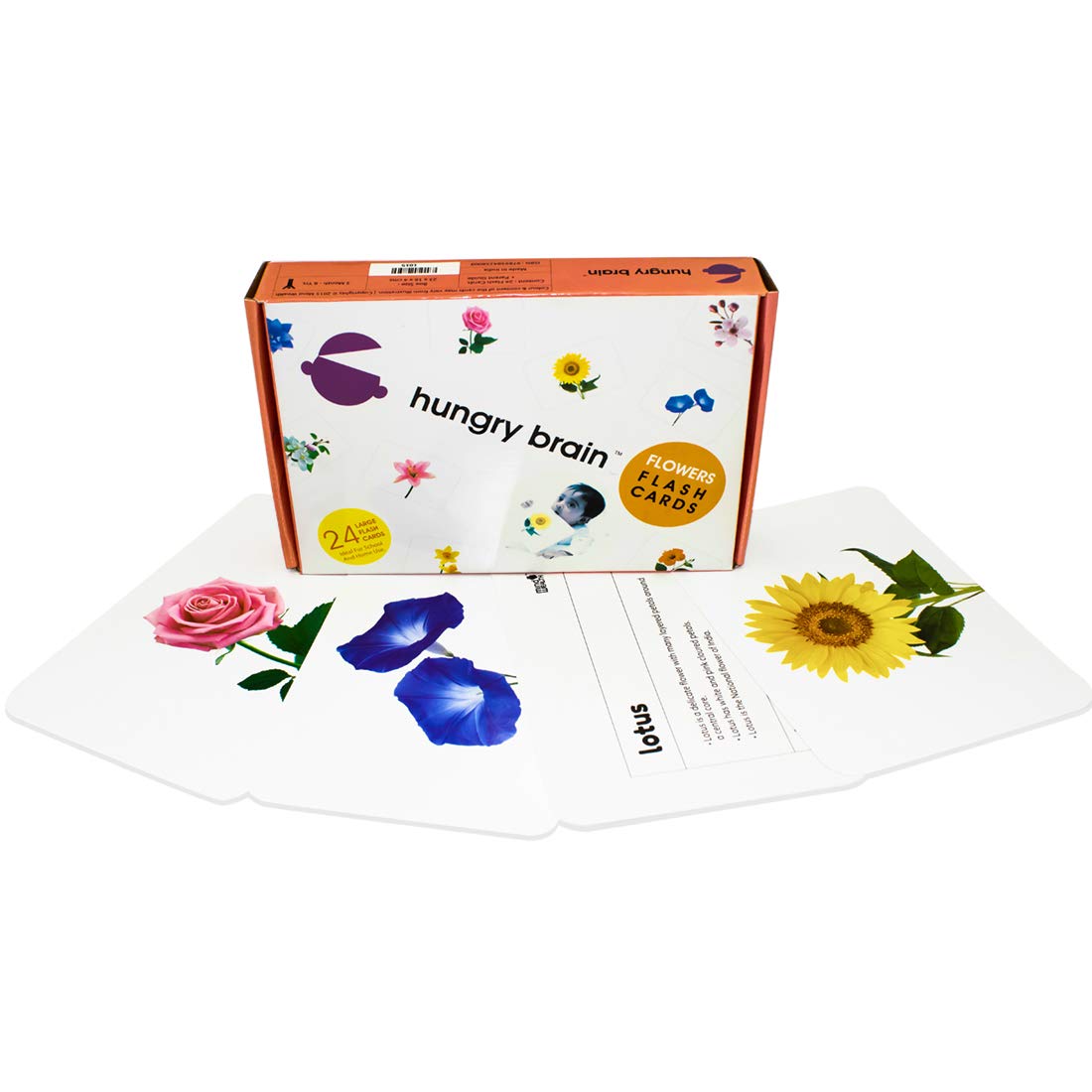 flowers flashcards - Hungry Brain