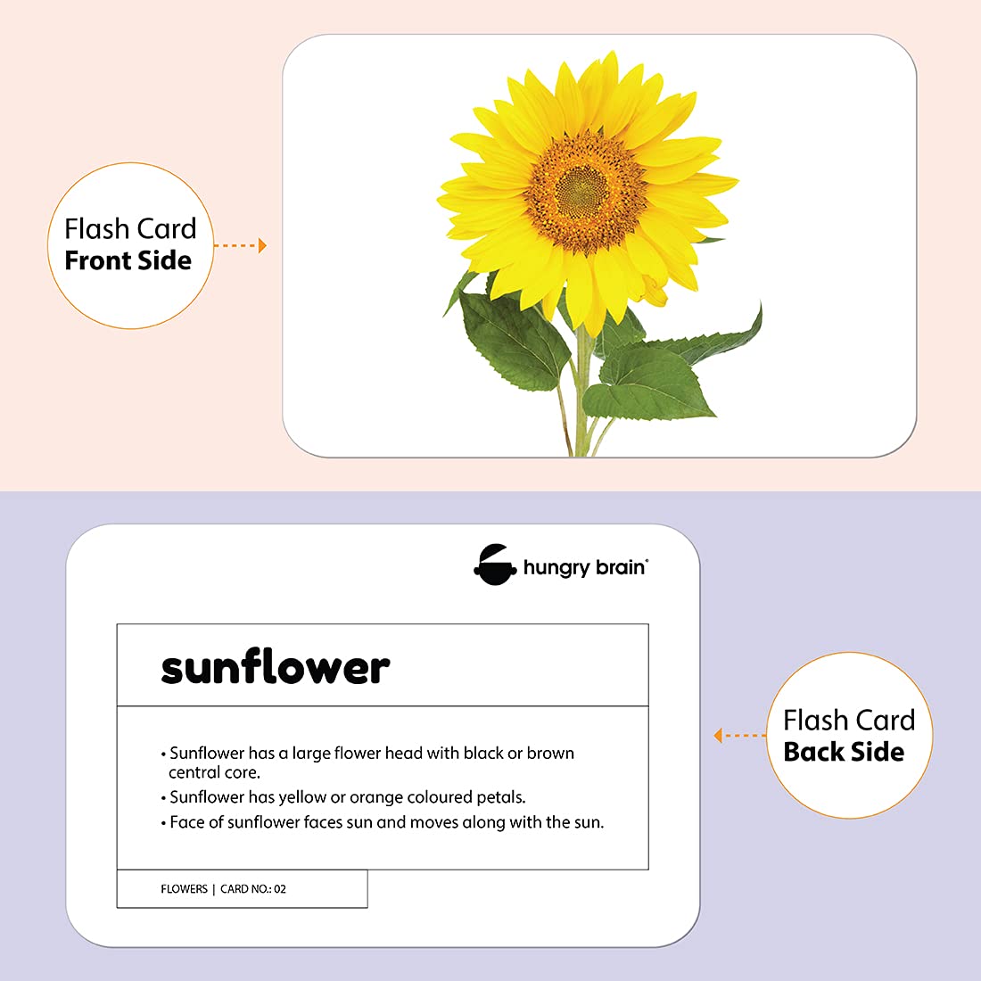 flowers flashcards - Hungry Brain
