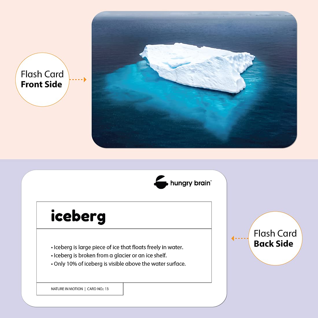 nature in motion flashcards - Hungry brain