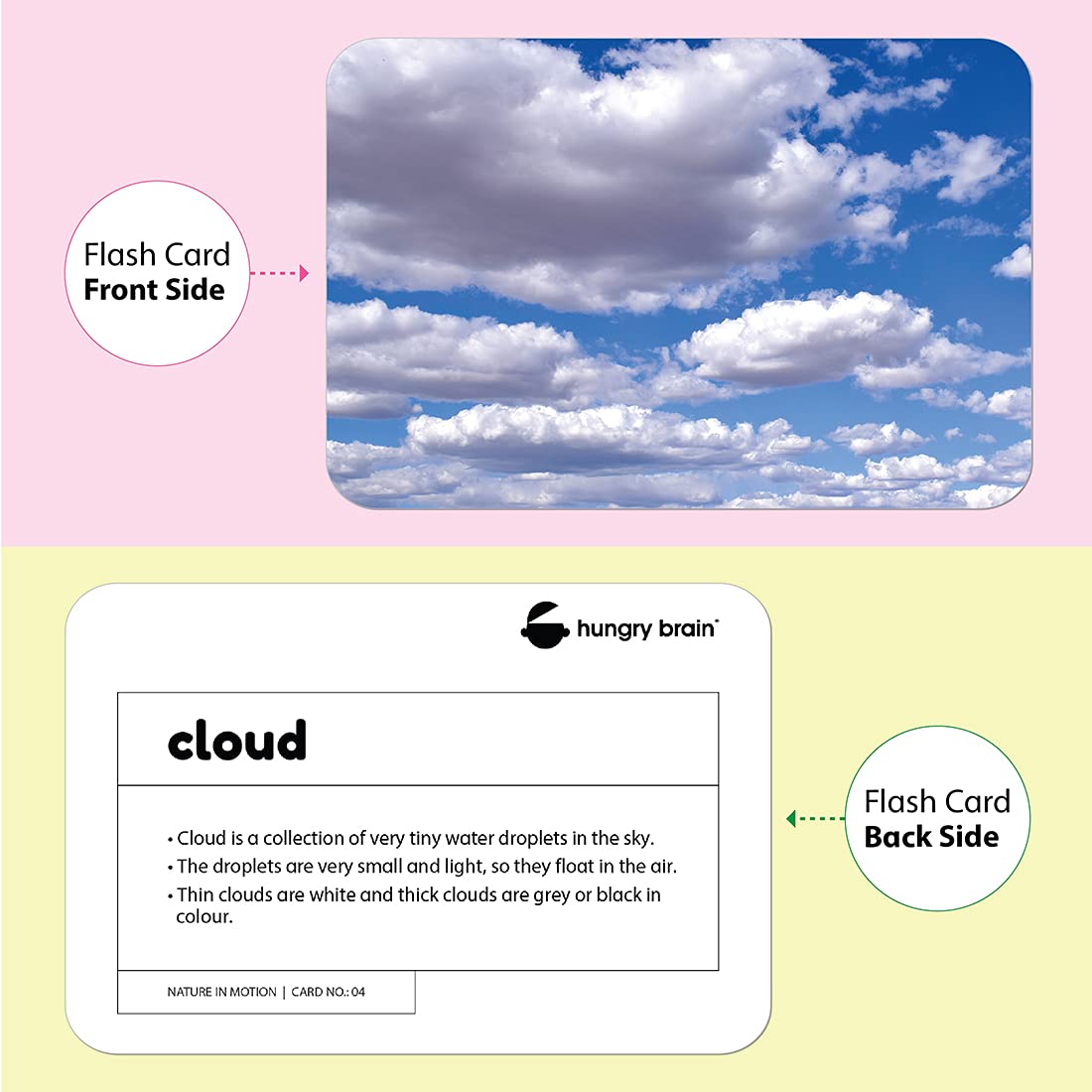 nature in motion flashcards - Hungry brain