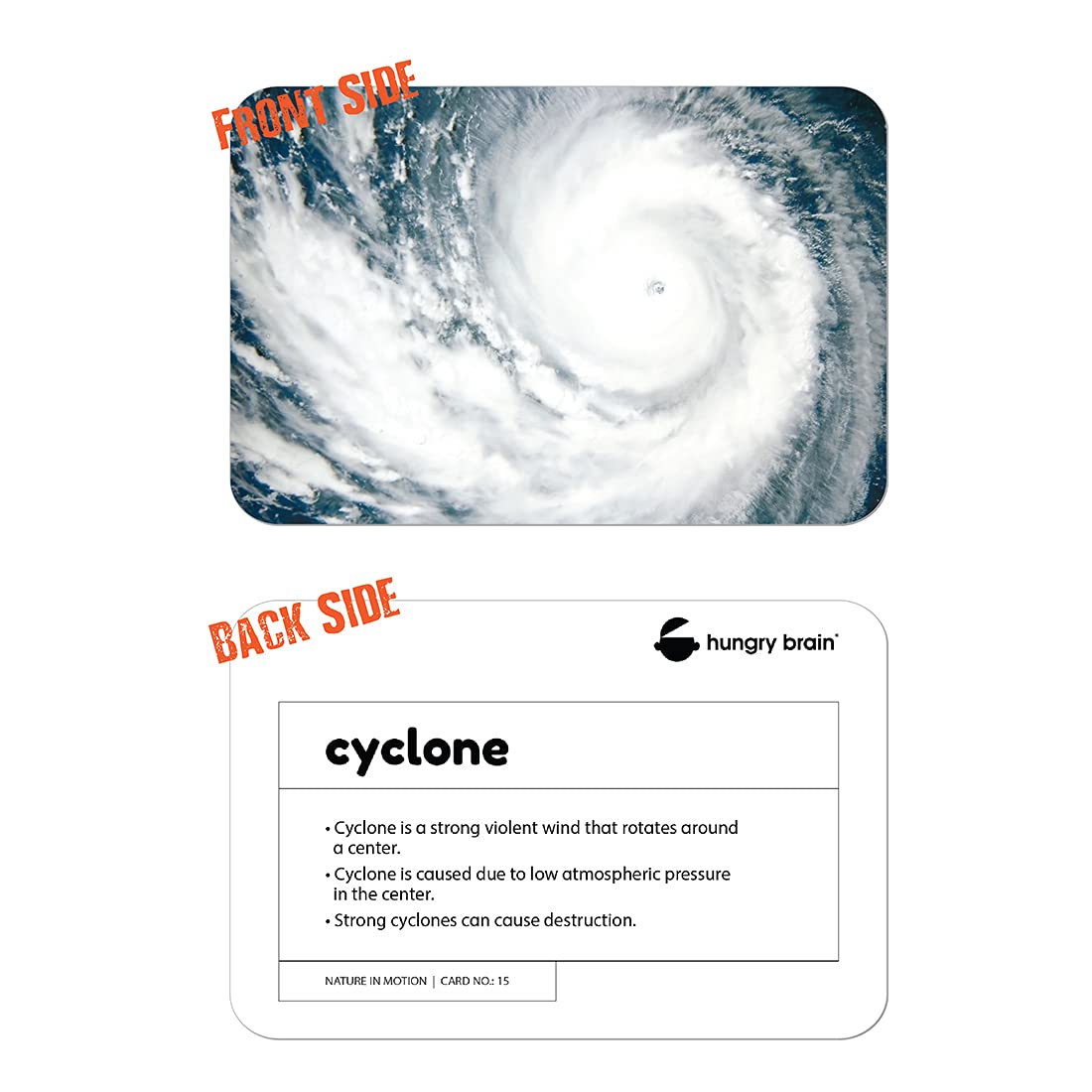 nature in motion flashcards - Hungry brain