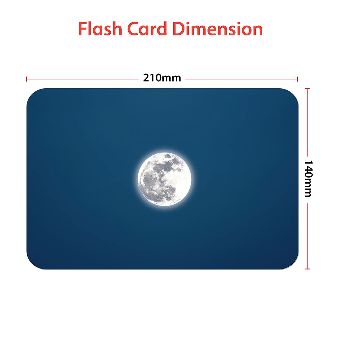 nature in motion flashcards - Hungry brain