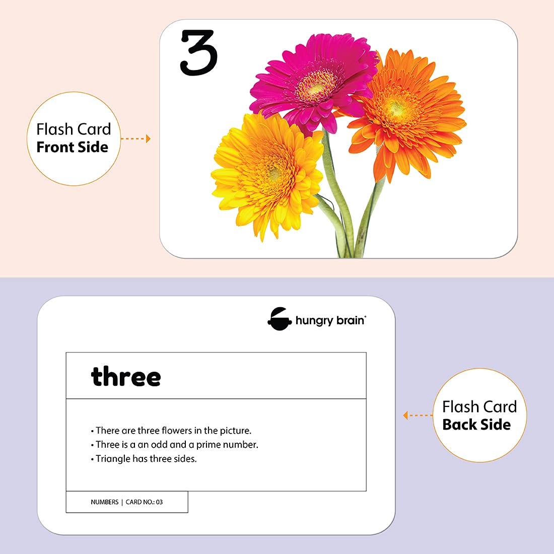 numbers flashcards - Hungry Brain