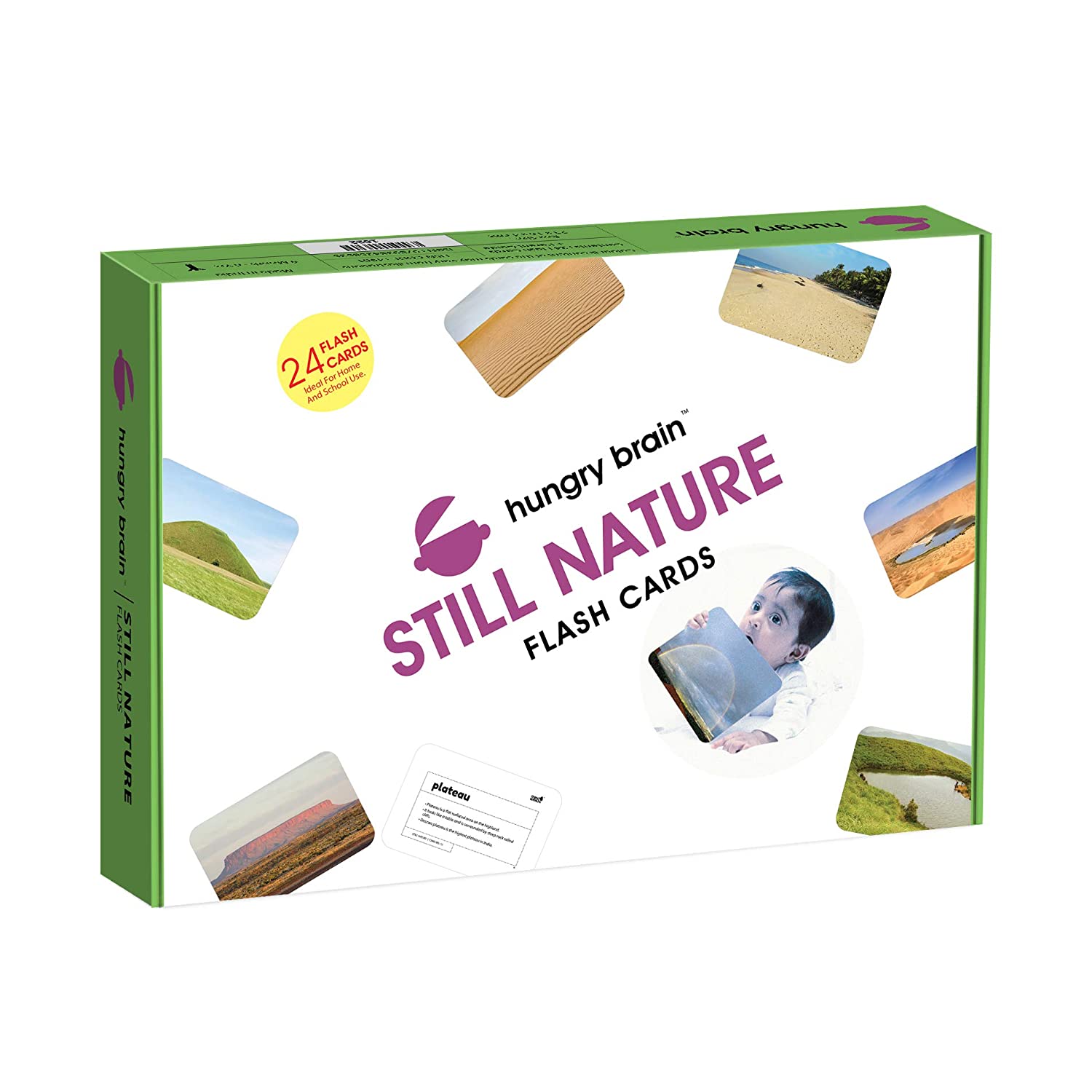 Hungry Brain - still nature flashcards