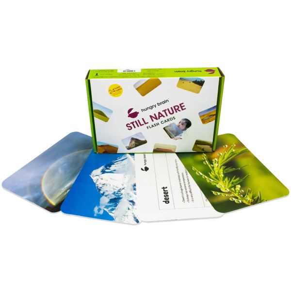 Still Nature - Flash Cards - Hungry Brain - Image 5