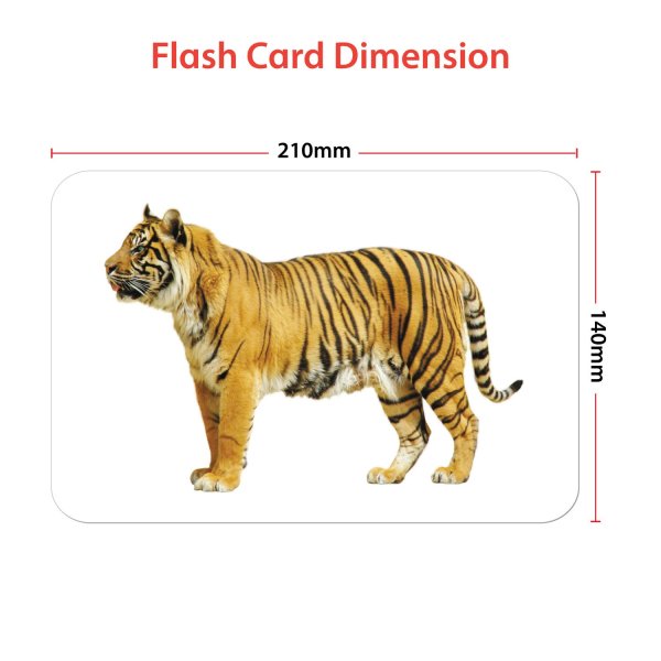 wild animals flashcards - Hungry Brain