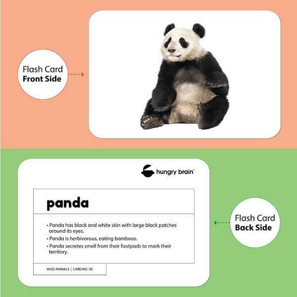 wild animals flashcards - Hungry Brain
