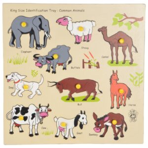 King Size Identification Tray - Common Animals - Skillofun
