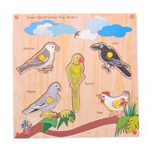 Skillofun Junior identification tray - birds 1