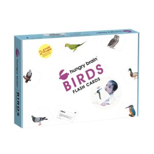 birds flashcards - Hungry Brain