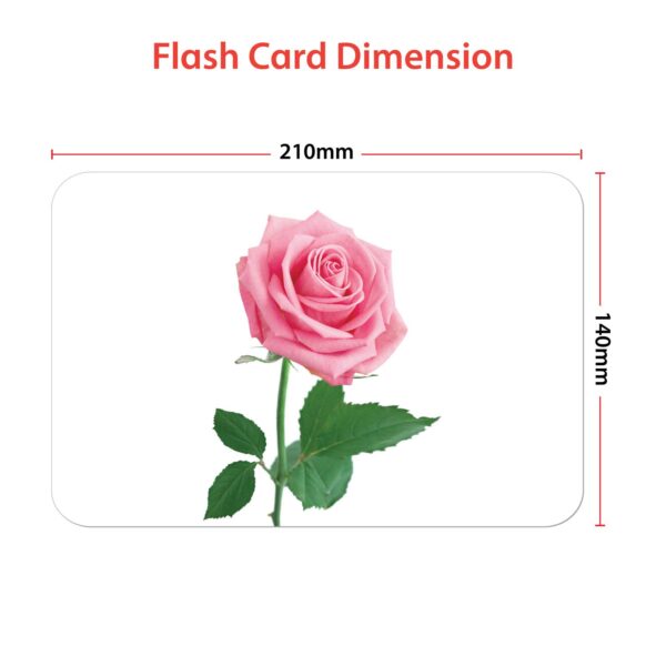 flowers flashcards - Hungry Brain