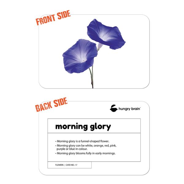 flowers flashcards - Hungry Brain