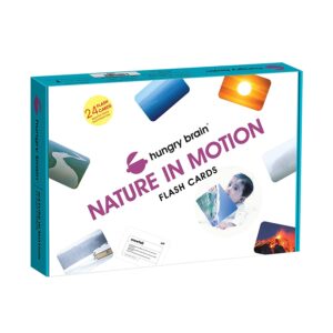 nature in motion flashcards - Hungry brain