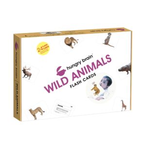 wild animals flashcards - Hungry Brain