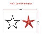 colours and shapes flashcard - Hungry Brain