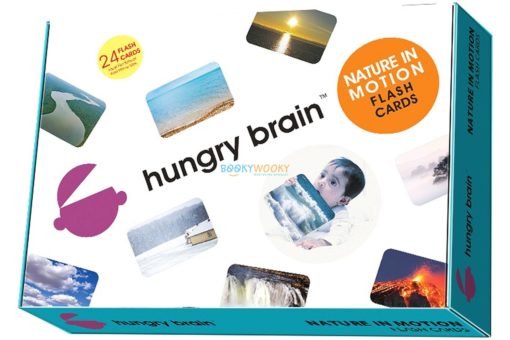 nature in motion flashcards - Hungry brain