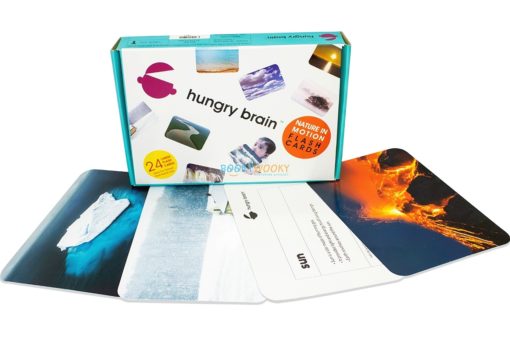 nature in motion flashcards - Hungry brain