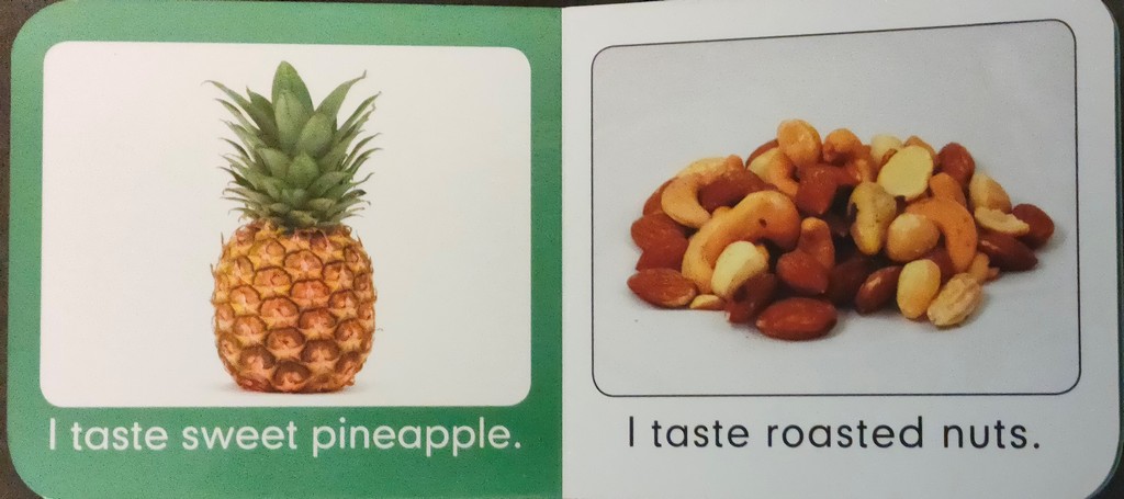 I Can Taste Baby Board Book - English