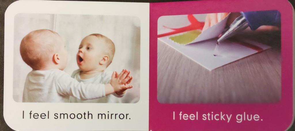 I Can Feel Baby Board Book - English