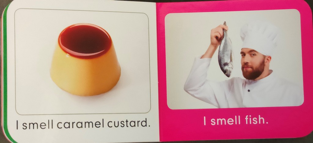 I Can Smell Board Book - English