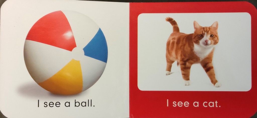 I Can See Baby Board Book - English