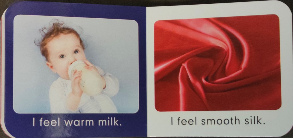I Can Feel Baby Board Book - English