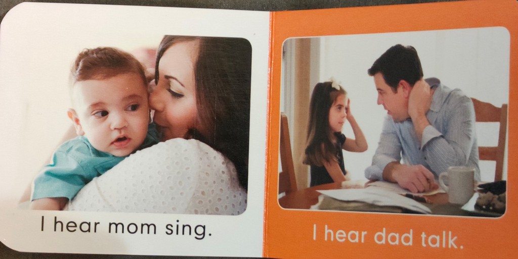 I Can Hear Board Book My Five Senses - English