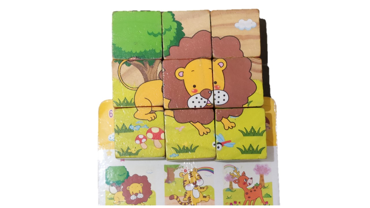 6 in 1 Picture Puzzle Block Cube