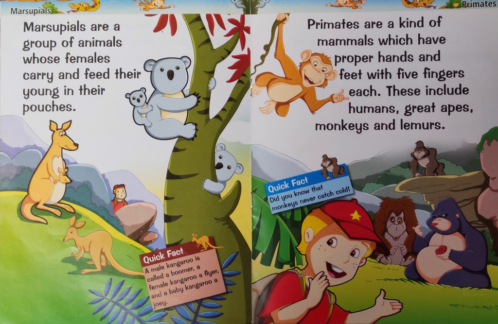 My Knowledge Book - Pegasus Book Animals And Birds - English