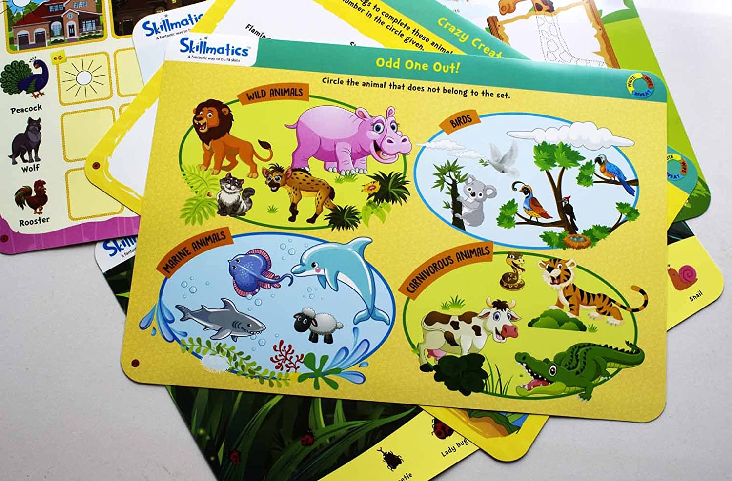 Animal Kingdom - Skillmatics - Image 6