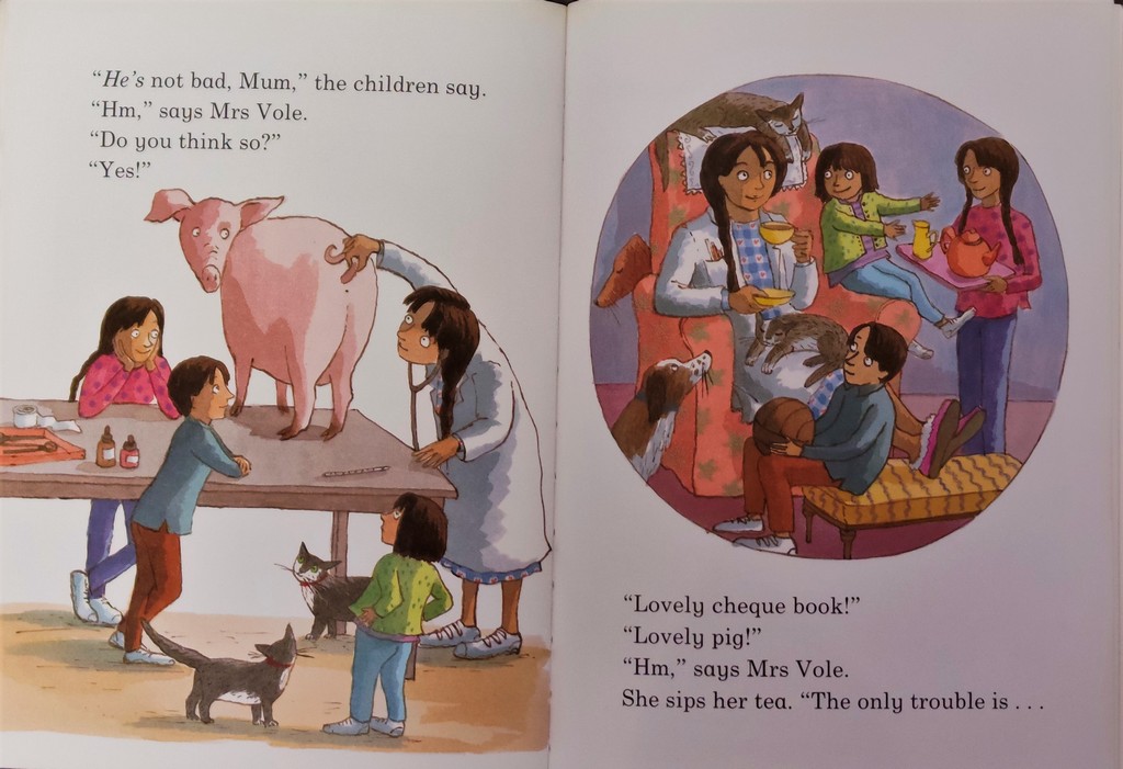 Mrs Vole The Vet - Image 2