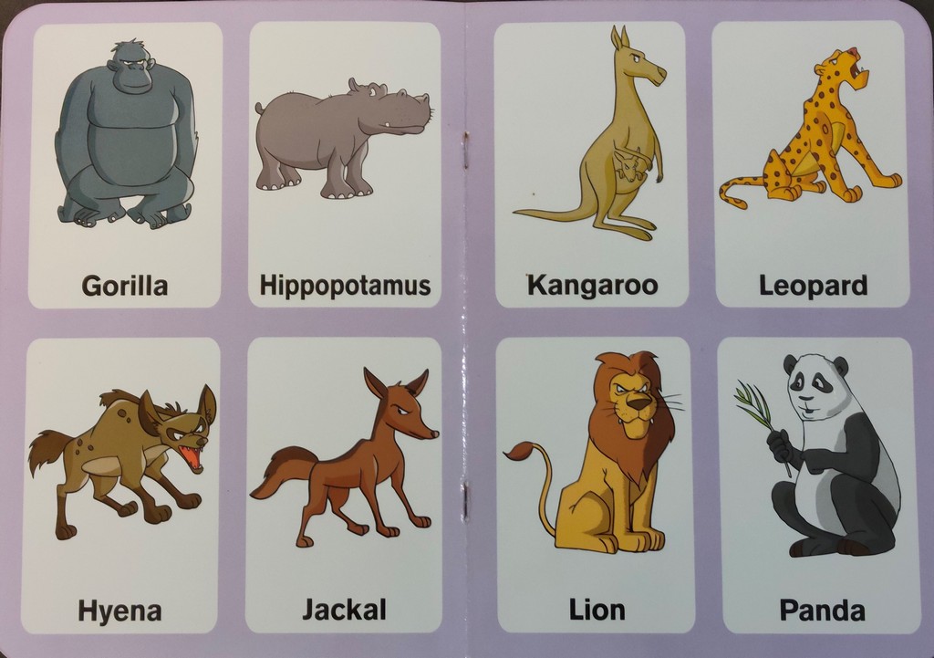 Preschool-Picture-Library-Wild-Animals