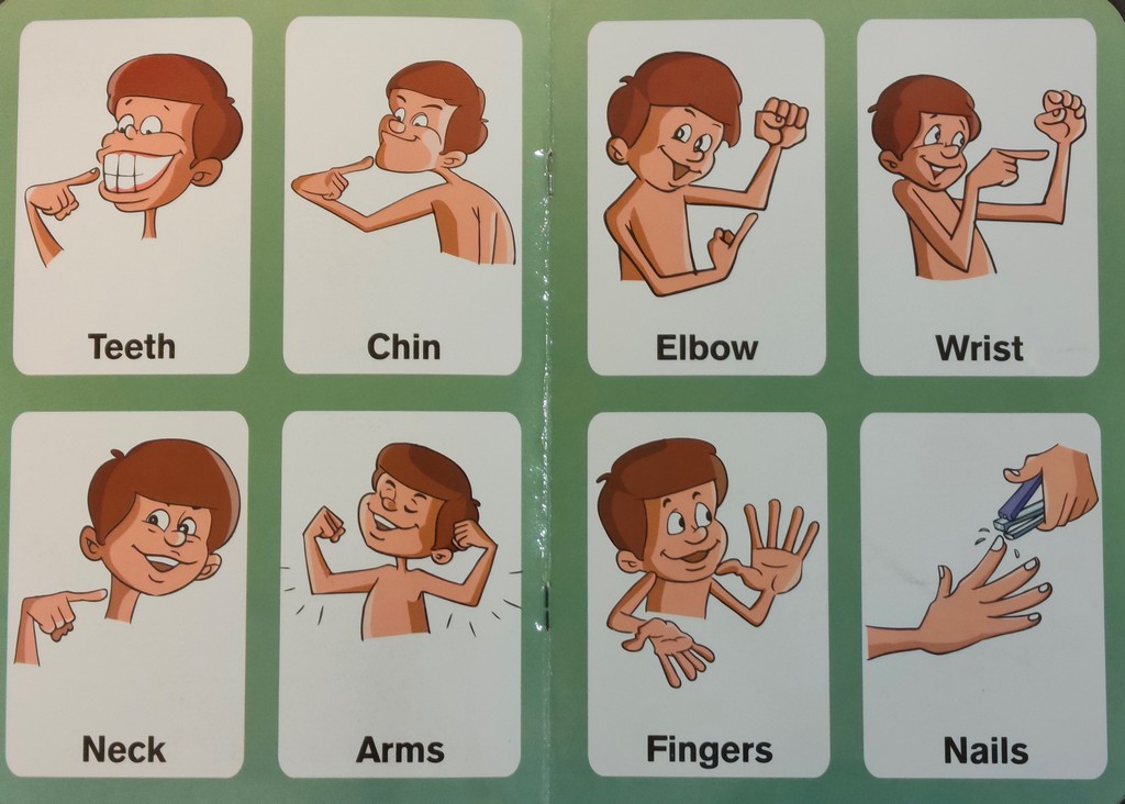 Preschool-Picture-Library-My-Body