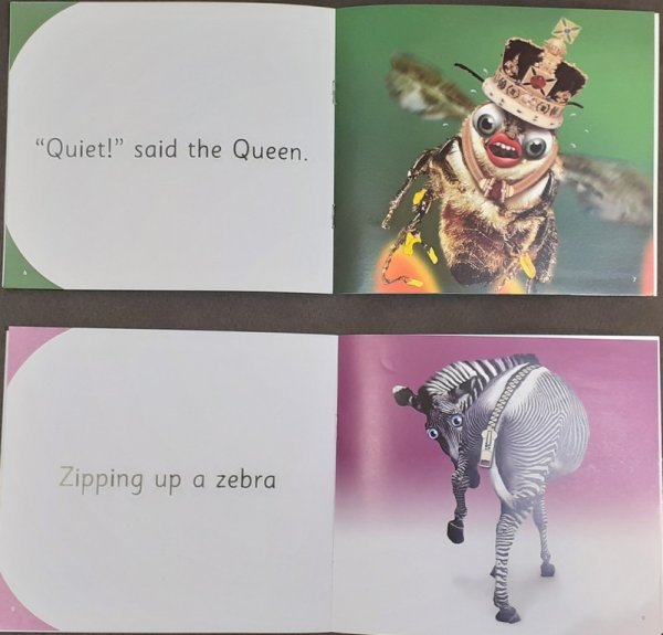 Funny Photo Alphabet - Q - Z -