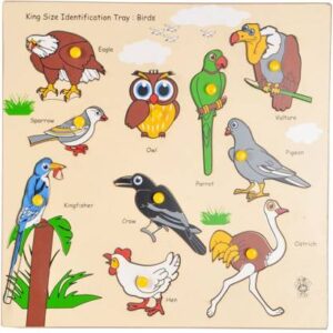 Birds King Size Identification Tray Skillofun
