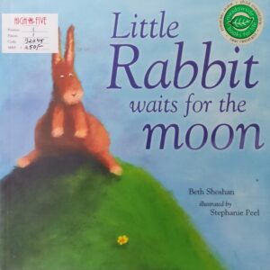 Little rabbit waits for the moon