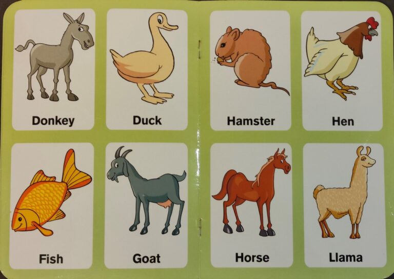 Preschool-Picture-Library-Domestic-Animals