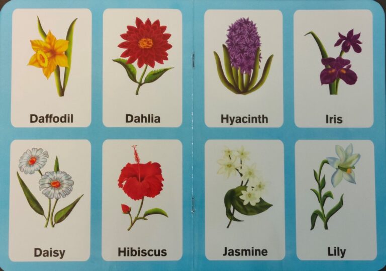 Preschool-Picture-Library-Flowers