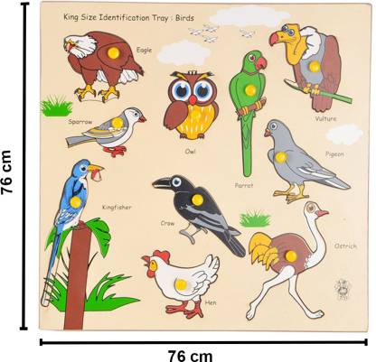 Birds King Size Identification Tray Skillofun