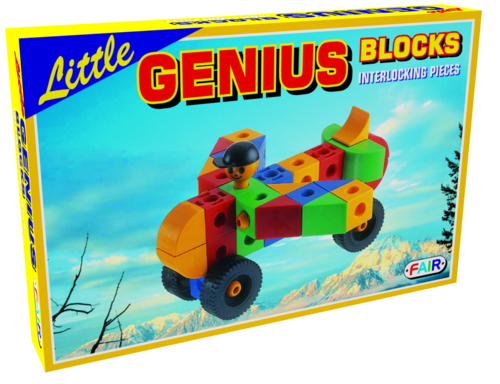 Little Genius Blocks