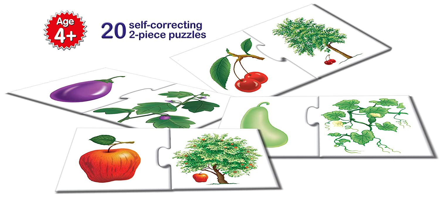 Fruits and Vegetables