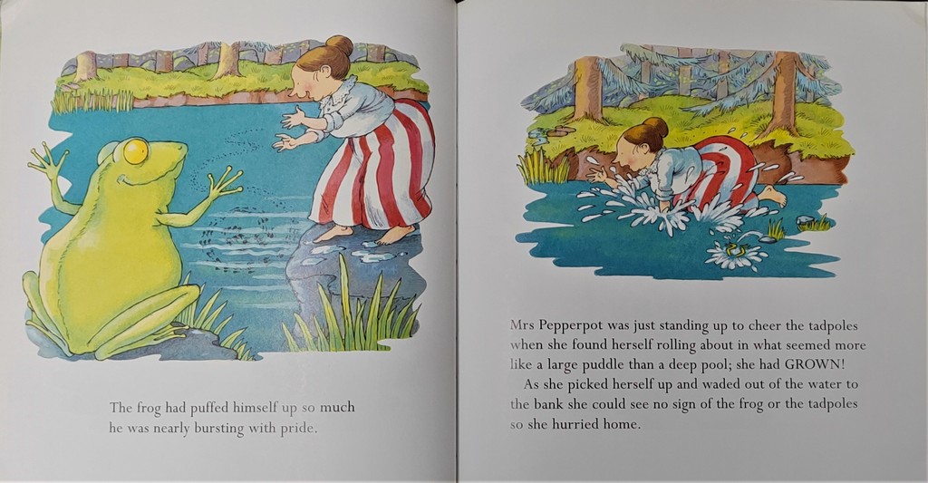 The Adventures of Mrs Pepperpot