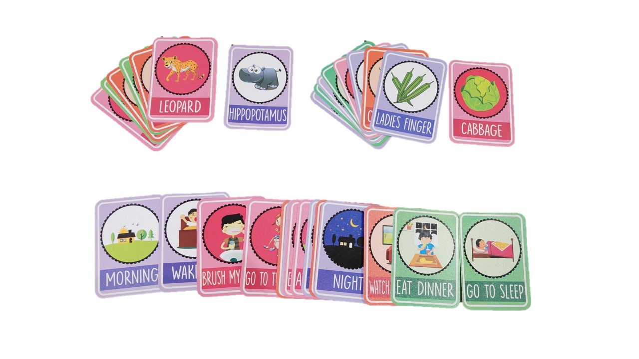 Daily Routine, Vegetables, Zoo Flashcards