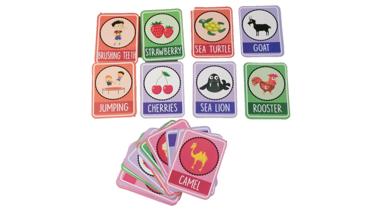 SYGA English Advance FlashCards - action, fruits, sea creatures, farm