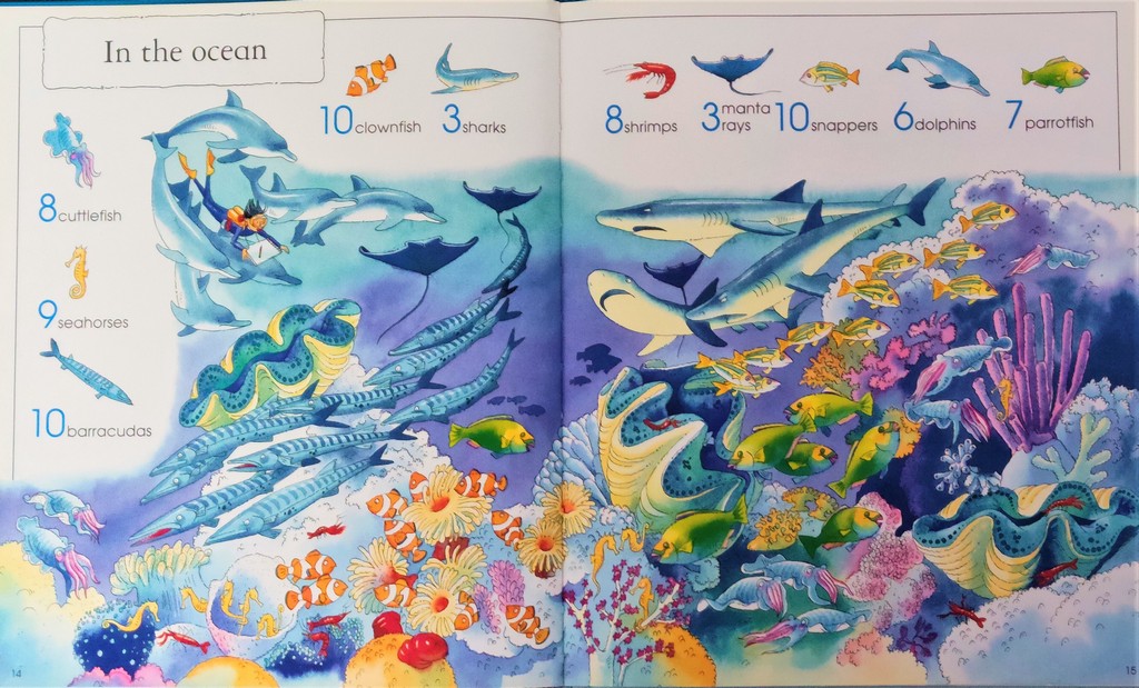 1001 Animals to spot